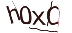 Identifying code