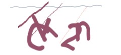 Identifying code