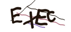 Identifying code