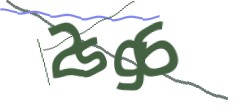 Identifying code