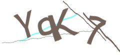 Identifying code