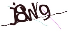 Identifying code