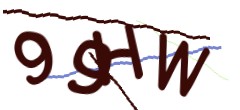 Identifying code