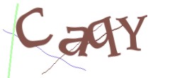 Identifying code