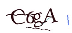 Identifying code