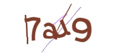 Identifying code