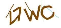 Identifying code
