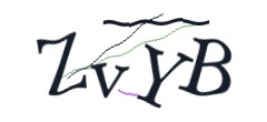 Identifying code