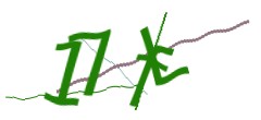 Identifying code
