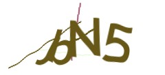 Identifying code