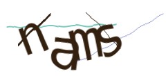 Identifying code