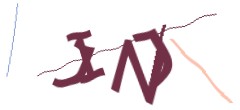 Identifying code