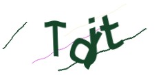 Identifying code