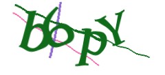Identifying code