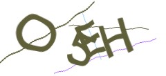 Identifying code