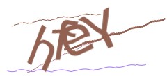 Identifying code