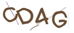 Identifying code