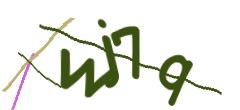 Identifying code