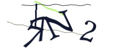 Identifying code