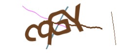 Identifying code