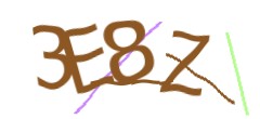 Identifying code