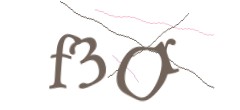 Identifying code