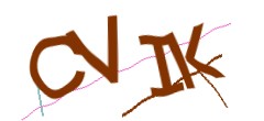 Identifying code