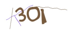 Identifying code