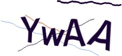 Identifying code