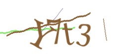 Identifying code