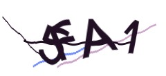 Identifying code