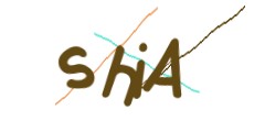Identifying code