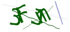 Identifying code