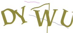 Identifying code