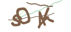 Identifying code