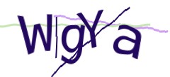Identifying code