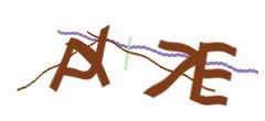 Identifying code