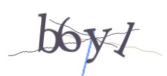 Identifying code