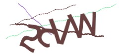 Identifying code