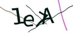 Identifying code