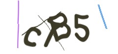 Identifying code