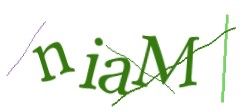 Identifying code