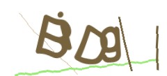 Identifying code