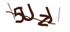 Identifying code