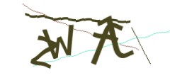 Identifying code