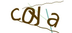 Identifying code