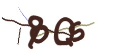 Identifying code