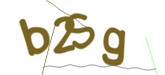 Identifying code
