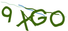 Identifying code