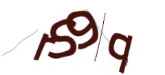 Identifying code